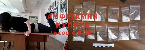 крисы Вязьма