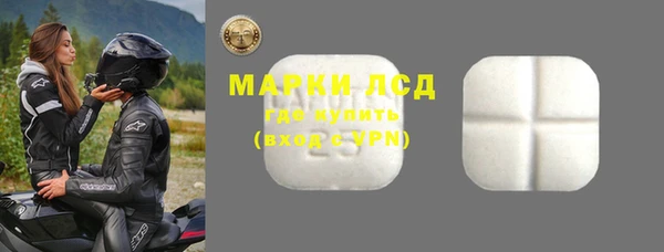 стафф Вяземский