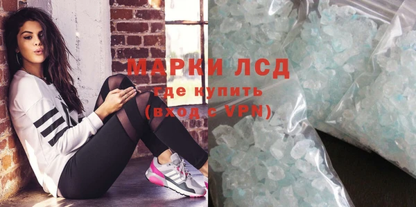 стафф Вяземский
