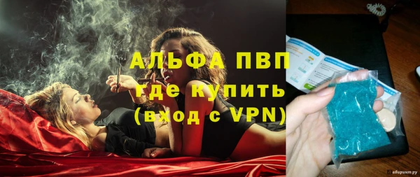 стафф Вяземский
