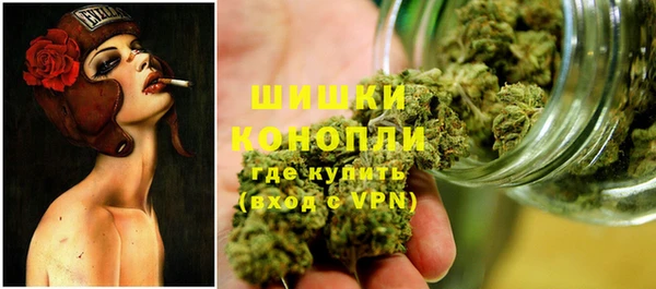 крисы Вязьма