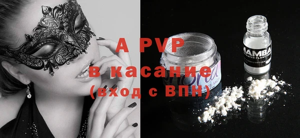 стафф Вяземский